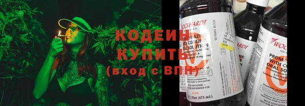 твердый Новозыбков