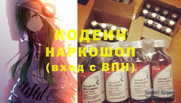 соль ск Няндома