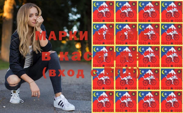 соль ск Няндома