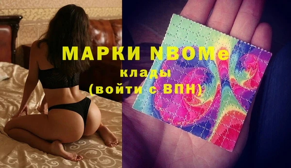 соль ск Няндома