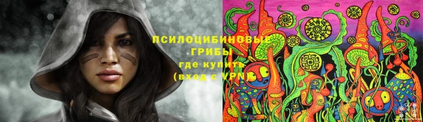 дмт Нязепетровск