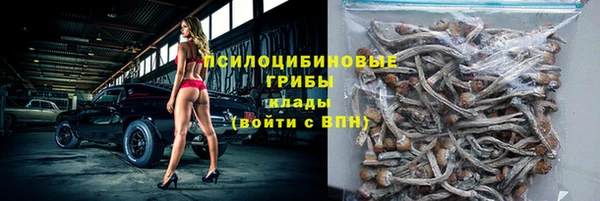 круглые Новодвинск