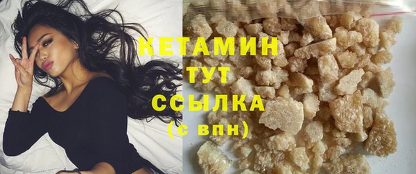 твердый Новозыбков
