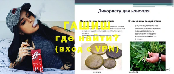 соль ск Няндома