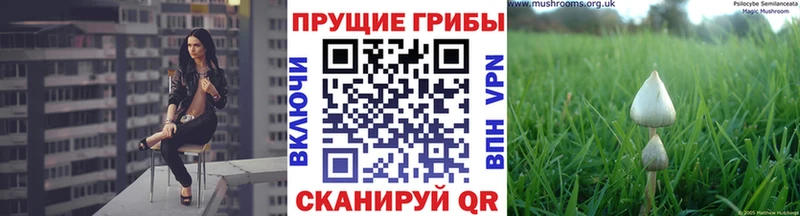 Галлюциногенные грибы Cubensis Котово